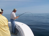 Live bait king mackerel fishing 